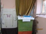 Eihwi IMG_0438.JPG