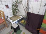 Happy IMG_0466.JPG