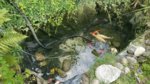 IMG-20160731-WA0006.jpeg IMG-20160731-WA0006.jpeg
