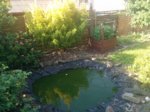 IMG_20170620_084125.jpg