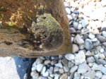 20170620_110645.jpg 20170620_110645.jpg