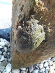 20170620_110647.jpg 20170620_110647.jpg