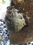 20170620_110649.jpg 20170620_110649.jpg