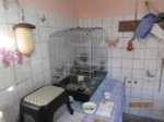 Fips IMG_0643.JPG