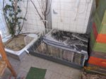 Eihwi und Happy IMG_0642.JPG
