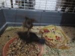 Eihwi und Happy IMG_0663.JPG