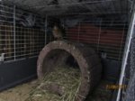 Happy IMG_0667.JPG