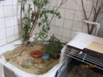 Fips IMG_0739.JPG
