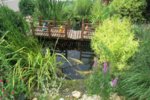Teich.jpg Teich.jpg