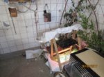 Ebsi IMG_0866.JPG