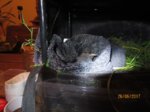 Fips IMG_0883.JPG