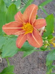 20170628_115834.jpg 20170628_115834.jpg