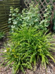 20170628_121131.jpg 20170628_121131.jpg