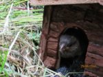 Fips IMG_1014.JPG
