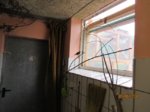 Fridolin IMG_1047.JPG