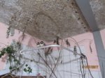 Foxy, Tubby und Ebsi IMG_1121.JPG