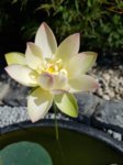 20170708_091538.jpg