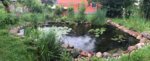 IMG_0100.JPG IMG_0100.JPG