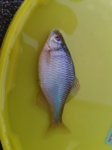 20170711_205130.jpg