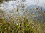 20170712_095856.jpg
