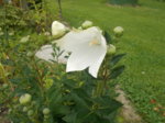 DSCN1518.JPG
