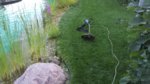 20170718_190300.jpg 20170718_190300.jpg