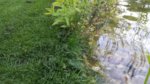 20170718_190333.jpg 20170718_190333.jpg