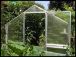 TomatenGewaechshaus.jpg TomatenGewaechshaus.jpg