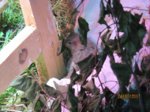 Fips IMG_2123.JPG