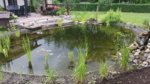 20170625_113234.jpg 20170625_113234.jpg