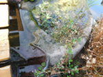 DSCN1494.JPG