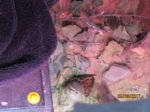 Karl und Fussel IMG_2694.JPG