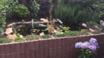IMG_7586.PNG IMG_7586.PNG