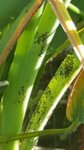 20170809_181813.jpg 20170809_181813.jpg