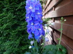DSCN4775.JPG