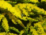 K1024_DSC00089.JPG