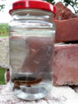 20170824_184231.jpg 20170824_184231.jpg