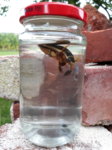20170824_184233.jpg 20170824_184233.jpg