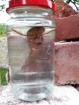 20170824_184243.jpg 20170824_184243.jpg