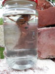 20170824_184250.jpg 20170824_184250.jpg