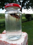 20170824_185134.jpg 20170824_185134.jpg