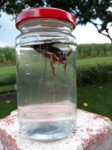 20170824_185143.jpg 20170824_185143.jpg