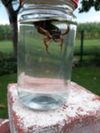 20170824_185202.jpg 20170824_185202.jpg