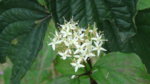 DSC02539.JPG