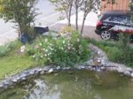 20170829_072240.jpg 20170829_072240.jpg