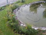 20170829_072253.jpg 20170829_072253.jpg