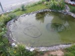 20170829_072336.jpg 20170829_072336.jpg