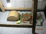 Fussel IMG_3793.JPG