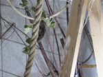 Fussel IMG_3819.JPG