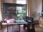 beide Flexarien IMG_4035.JPG